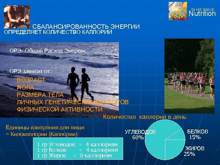 IN HIS IMAGE Nutrition СБАЛАНСИРОВАННОСТЬ ЭНЕРГИИ ОПРЕДЕЛЯЕТ КОЛИЧЕСТВО КАЛЛОРИЙ ОРЭ- Общий Расход Энергии ОРЭ