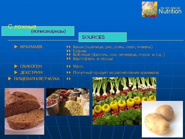 IN HIS IMAGE Nutrition C ложные (полисахариды) SOURCES u КРАХМАЛЛ u ГЛИКОГЕН u ДЕКСТРИН
