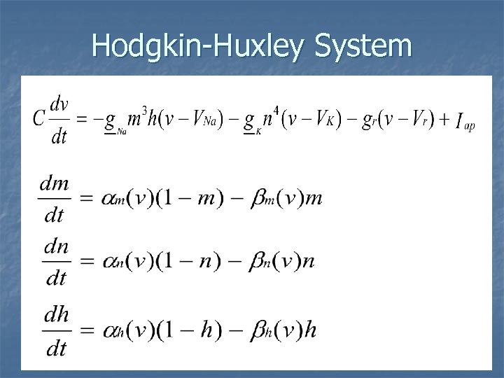 Hodgkin-Huxley System 