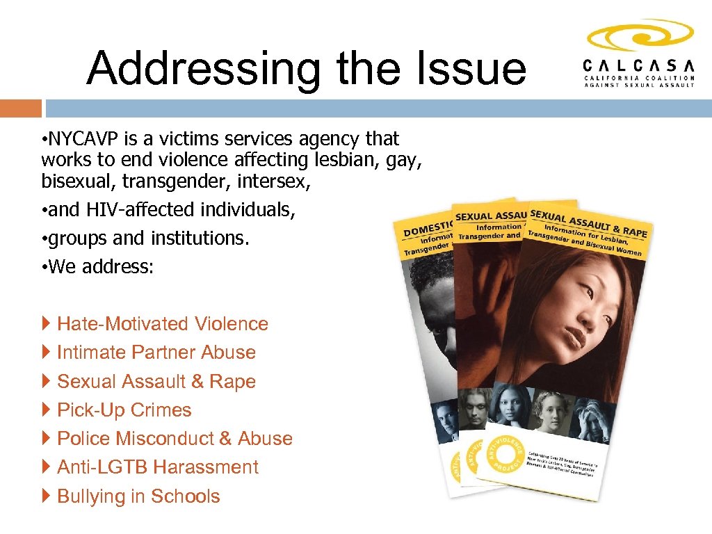 Addressing the Issue • NYCAVP is a victims services agency that works to end