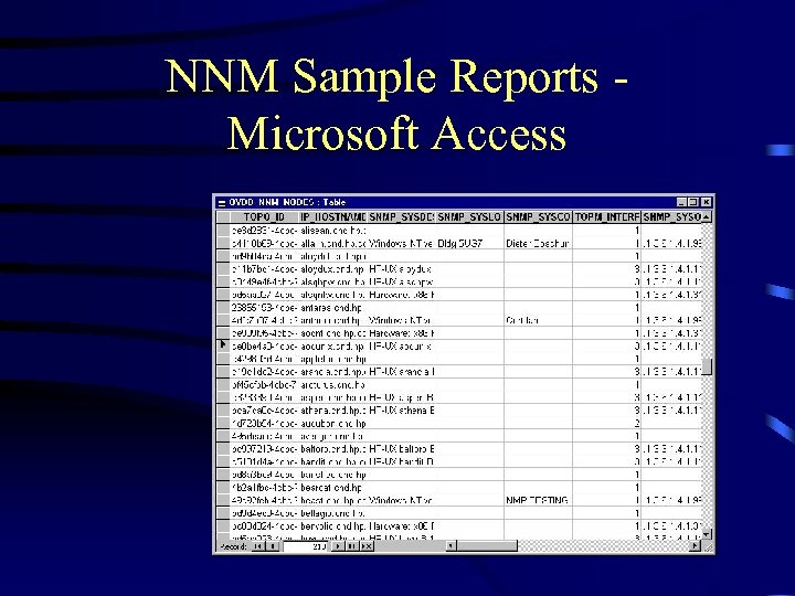 NNM Sample Reports Microsoft Access 