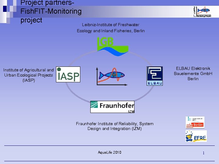 Fisch FIT Monitoring-Project Fish n Chips first