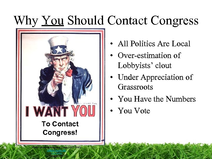 Why You Should Contact Congress • All Politics Are Local • Over-estimation of Lobbyists’