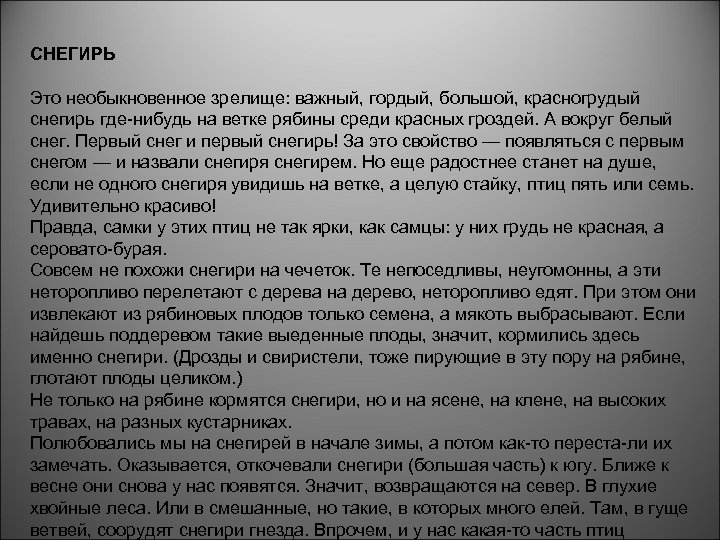 СНЕГИРЬ Это необыкновенное зрелище: важный, гордый, большой, красногрудый снегирь где нибудь на ветке рябины