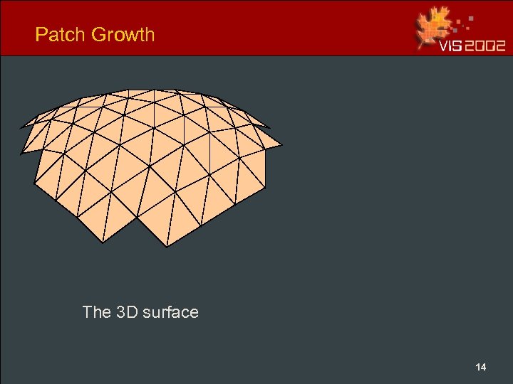 Patch Growth The 3 D surface 14 