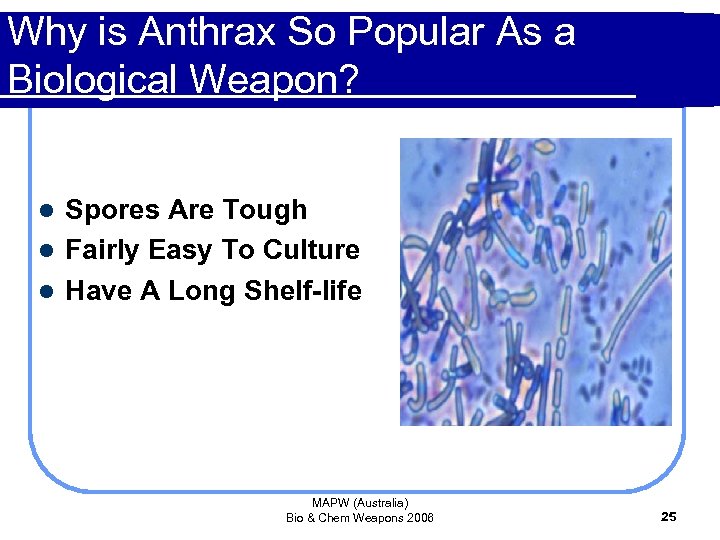 Why is Anthrax So Popular As a Biological Weapon? Spores Are Tough l Fairly
