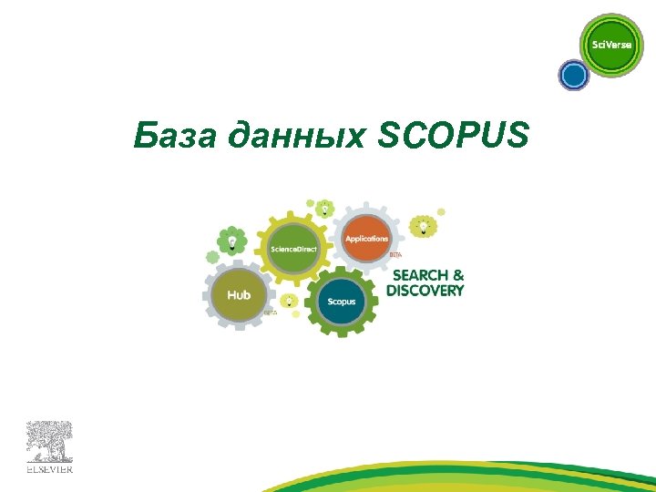 База данных SCOPUS 