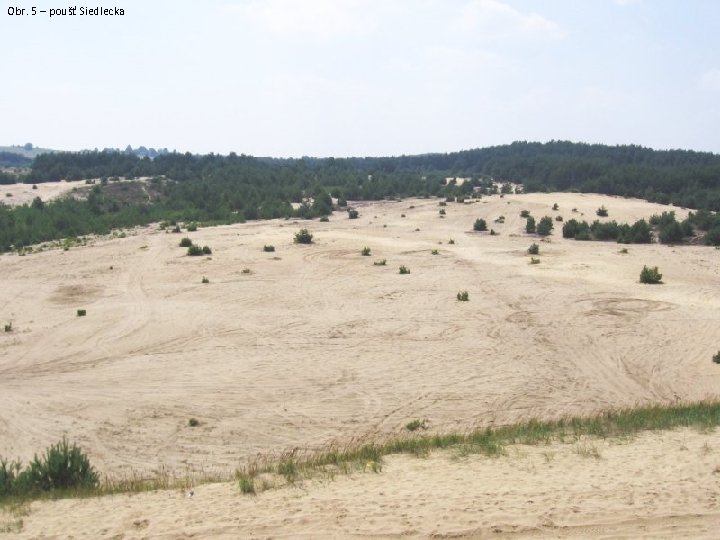 Obr. 5 – poušť Siedlecka 