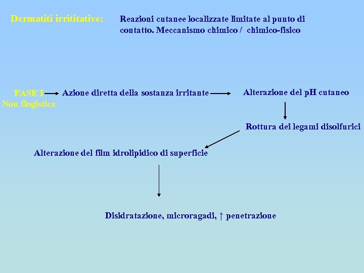 Dermatiti irrititative: Reazioni cutanee localizzate limitate al punto di contatto. Meccanismo chimico / chimico-fisico