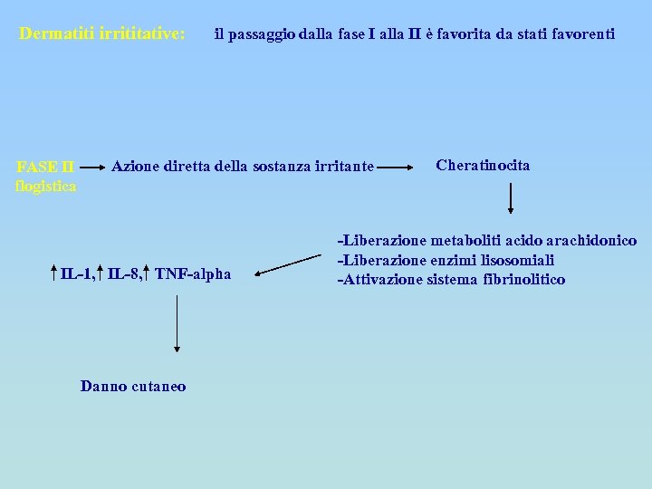 Dermatiti irrititative: FASE II flogistica il passaggio dalla fase I alla II è favorita