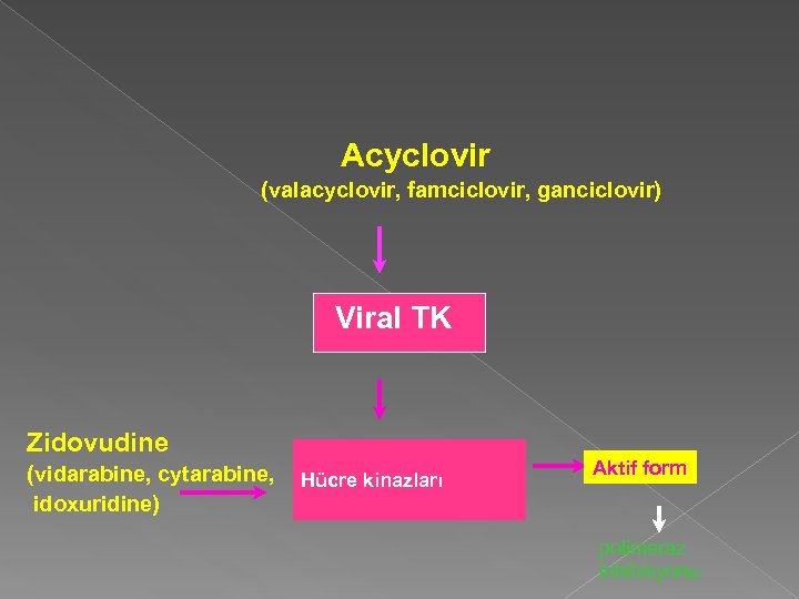 Acyclovir (valacyclovir, famciclovir, ganciclovir) Viral TK Zidovudine (vidarabine, cytarabine, idoxuridine) Hücre kinazları Aktif form
