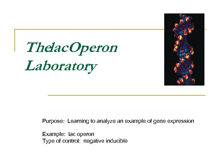 Thelac. Operon Laboratory Purpose: Learning to analyze an example of gene expression Example: lac