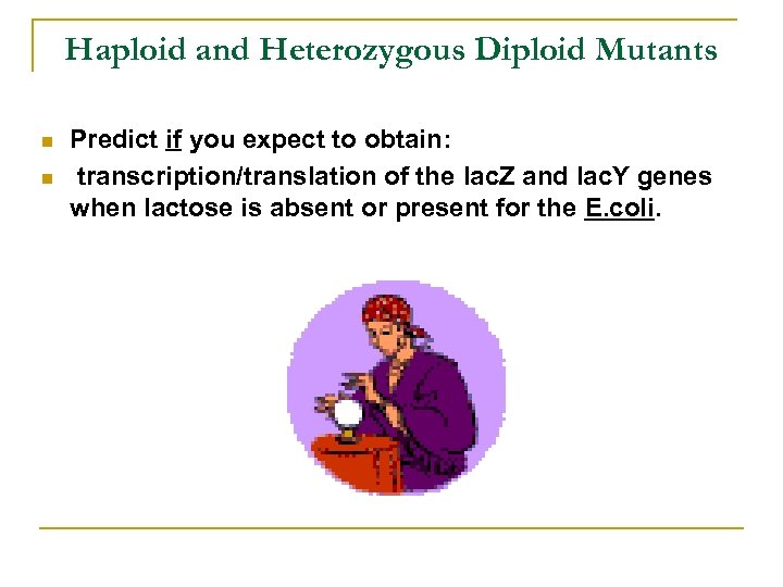 Haploid and Heterozygous Diploid Mutants n n Predict if you expect to obtain: transcription/translation