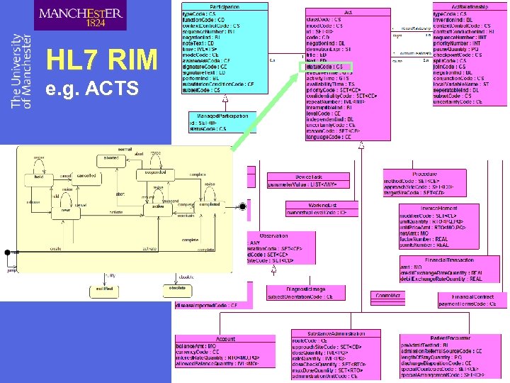 HL 7 RIM e. g. ACTS 