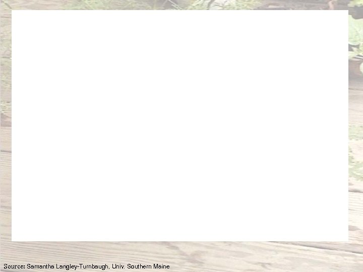 Source: Samantha Langley-Turnbaugh, Univ. Southern Maine 