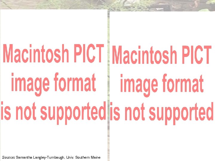 Source: Samantha Langley-Turnbaugh, Univ. Southern Maine 