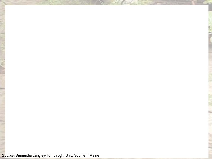 Source: Samantha Langley-Turnbaugh, Univ. Southern Maine 