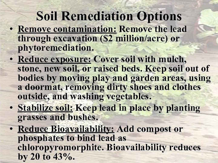 Soil Remediation Options • Remove contamination: Remove the lead through excavation ($2 million/acre) or