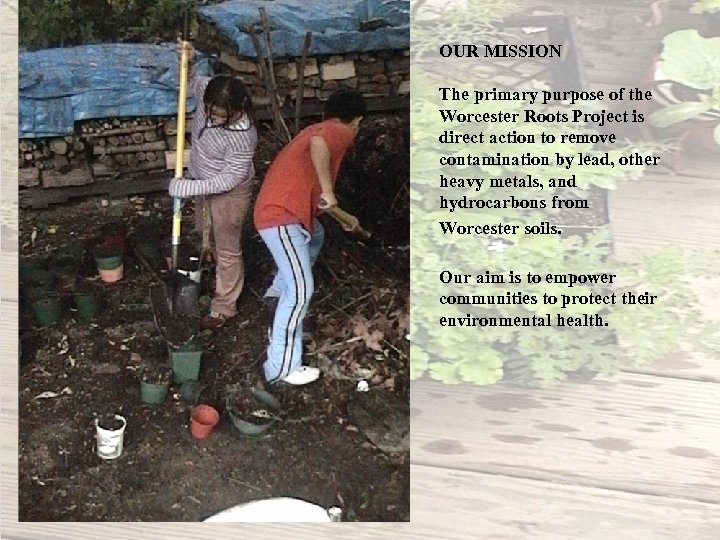 OUR MISSION The primary purpose of the Worcester Roots Project is direct action to