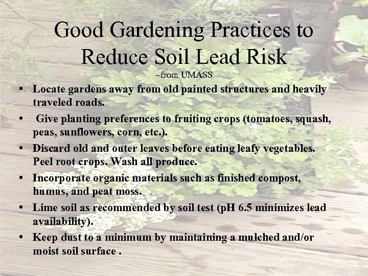Good Gardening Practices to Reduce Soil Lead Risk ~from UMASS • Locate gardens away