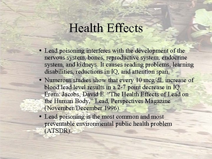 Health Effects • Lead poisoning interferes with the development of the nervous system, bones,