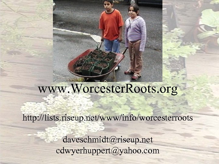 www. Worcester. Roots. org http: //lists. riseup. net/www/info/worcesterroots daveschmidt@riseup. net cdwyerhuppert@yahoo. com 