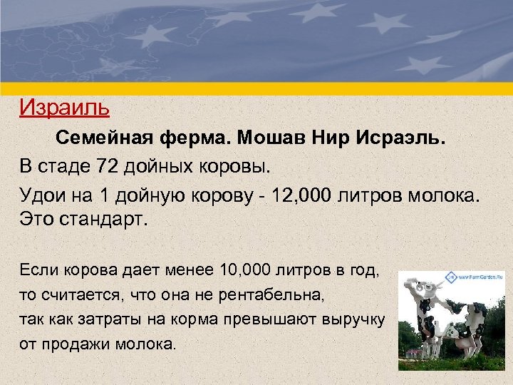 Израиль Семейная ферма. Мошав Нир Исраэль. В стаде 72 дойных коровы. Удои на 1