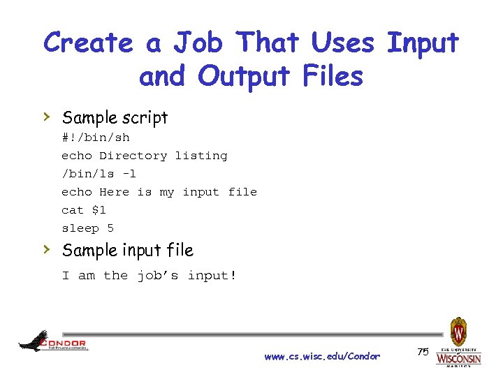 Create a Job That Uses Input and Output Files › Sample script #!/bin/sh echo