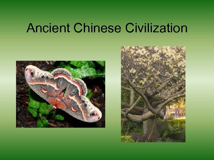 Ancient Chinese Civilization 