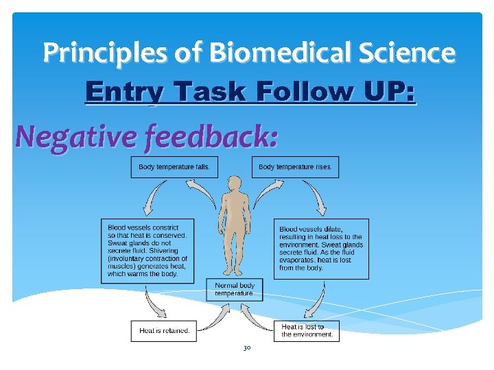 Principles of Biomedical Science Entry Task Follow UP: Negative feedback: 30 
