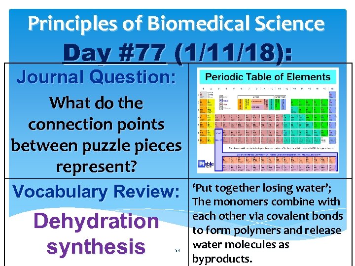 Principles of Biomedical Science Day #77 (1/11/18): Journal Question: What do the connection points