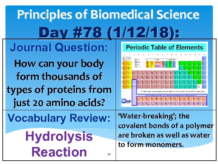 Principles of Biomedical Science Day #78 (1/12/18): Journal Question: How can your body form