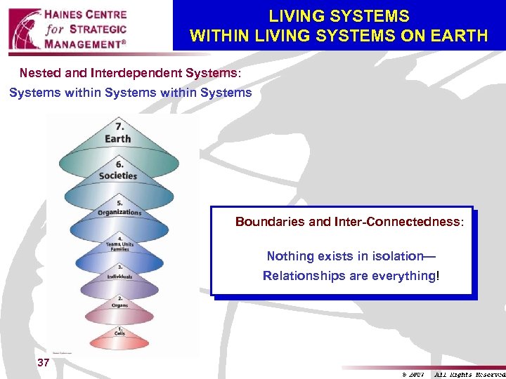 LIVING SYSTEMS WITHIN LIVING SYSTEMS ON EARTH Nested and Interdependent Systems: Systems within Systems