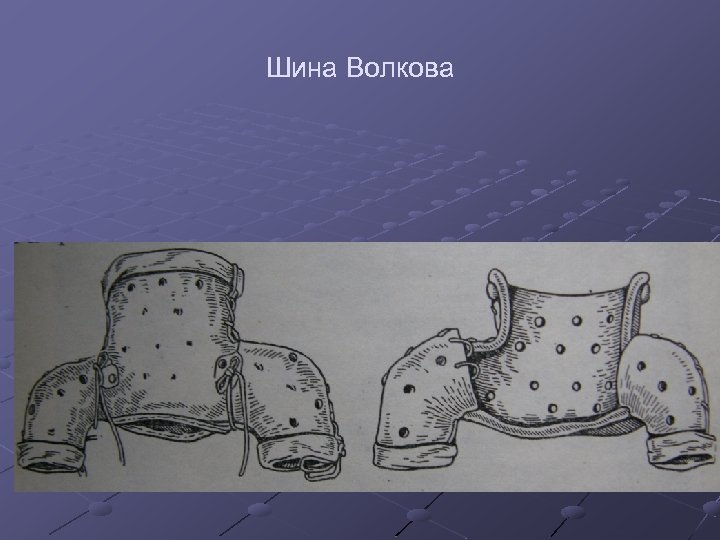 Шина Волкова 