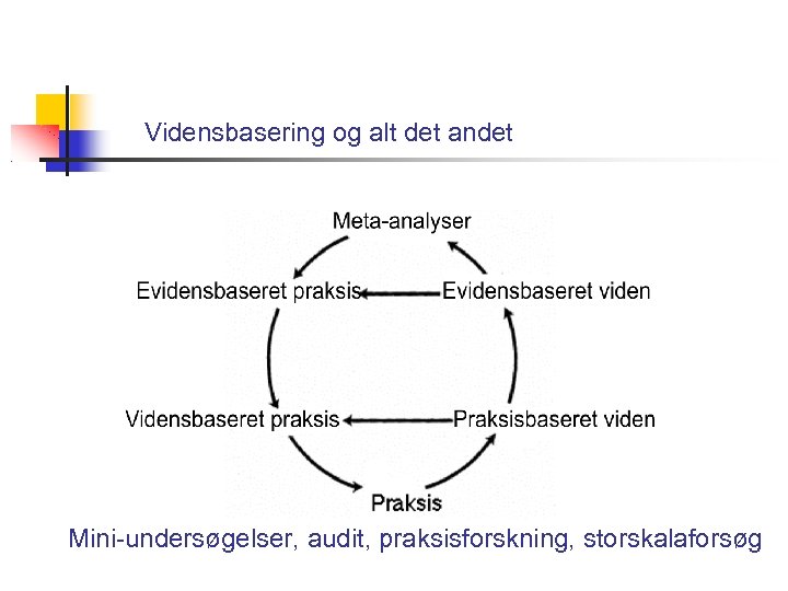 Vidensbasering og alt det andet Mini-undersøgelser, audit, praksisforskning, storskalaforsøg 