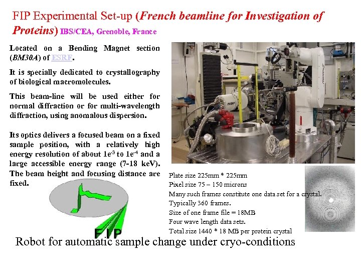 FIP Experimental Set-up (French beamline for Investigation of Proteins) IBS/CEA, Grenoble, France Located on