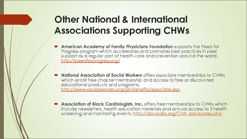 Other National & International Associations Supporting CHWs American Academy of Family Physicians Foundation supports