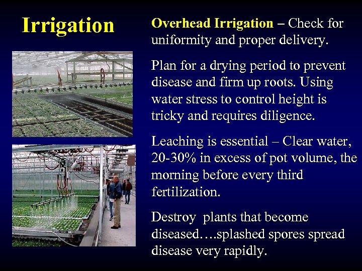 Irrigation Overhead Irrigation – Check for uniformity and proper delivery. Plan for a drying