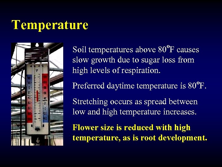 Temperature o Soil temperatures above 80 F causes slow growth due to sugar loss