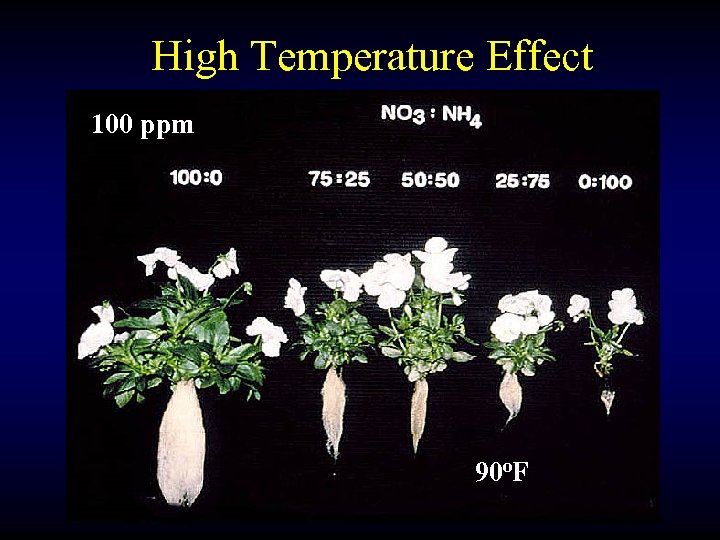 High Temperature Effect 100 ppm 90 o. F 