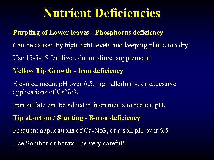 Nutrient Deficiencies Purpling of Lower leaves - Phosphorus deficiency Can be caused by high