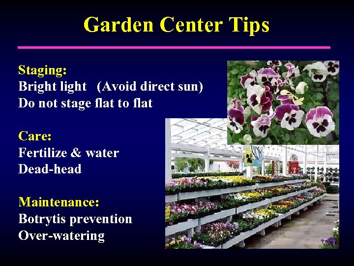 Garden Center Tips Staging: Bright light (Avoid direct sun) Do not stage flat to