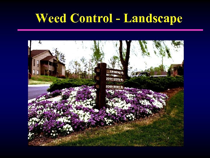 Weed Control - Landscape 