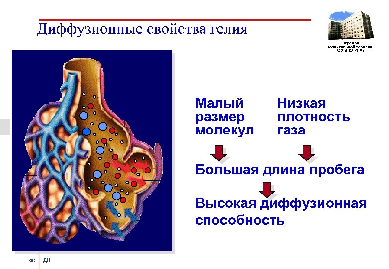 Диффузионные свойства гелия Кафедра госпитальной терапии ГОУ ВПО РГМУ Малый размер молекул Низкая плотность