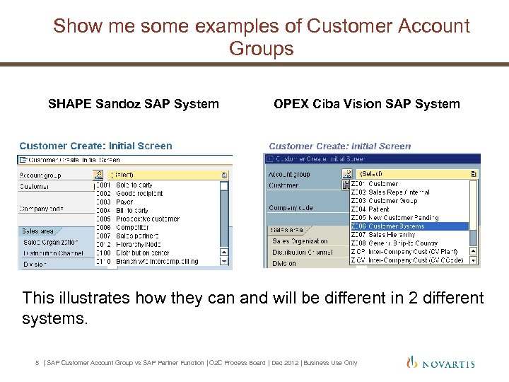 Show me some examples of Customer Account Groups SHAPE Sandoz SAP System OPEX Ciba