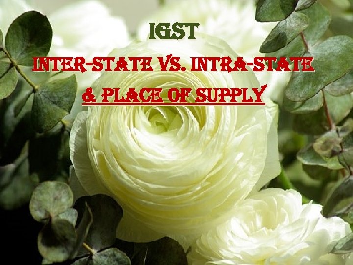 igs. T in. Ter-s. Ta. Te Vs. in. Tra-s. Ta. Te & PLa. Ce