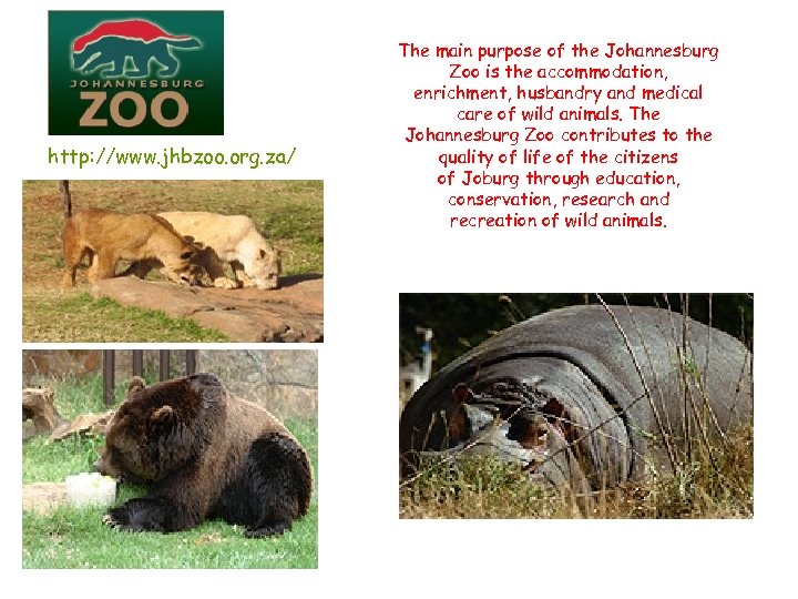 http: //www. jhbzoo. org. za/ The main purpose of the Johannesburg Zoo is the