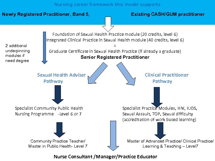 Nursing career framework this model supports Newly Registered Practitioner, Band 5, 2 additional underpinning
