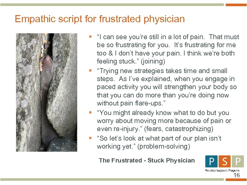 Empathic script for frustrated physician § “I can see you’re still in a lot