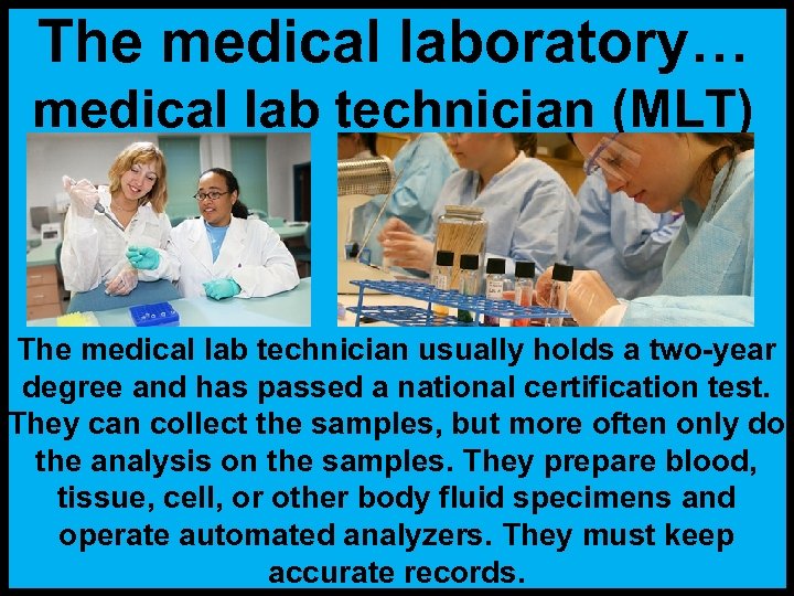 The medical laboratory… medical lab technician (MLT) The medical lab technician usually holds a